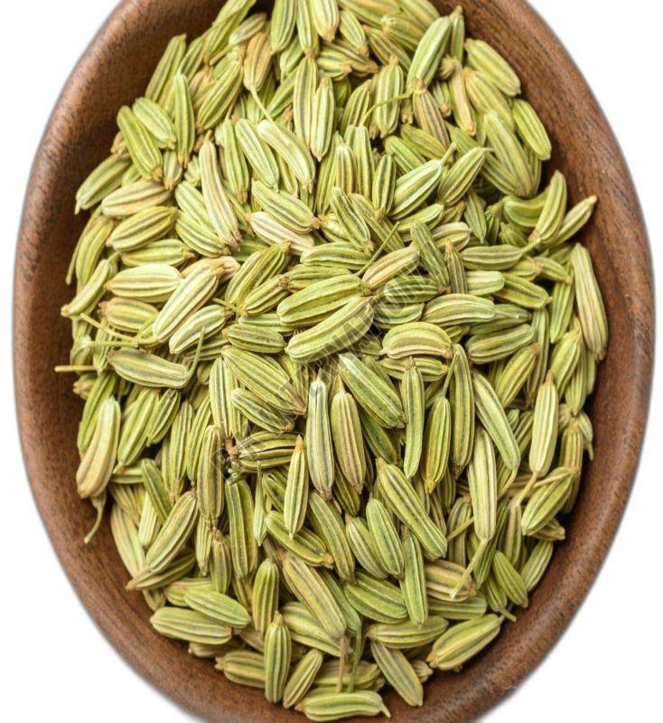 Fennel Seeds