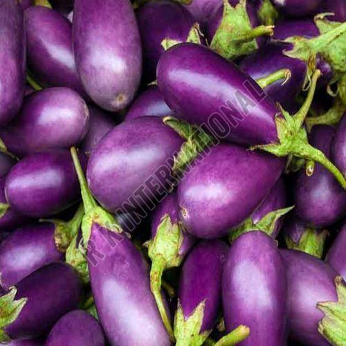 Fresh Eggplant