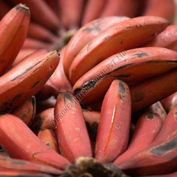 Fresh Red Banana