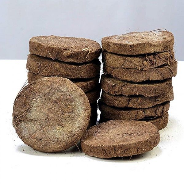 Dry Cow Dung Cake