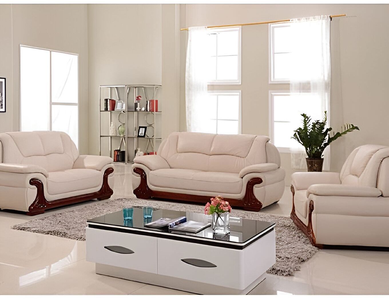 Upscale Contemporary Sofa Set