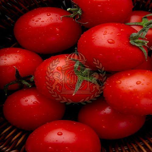 A Grade Red Fresh Tomato, Packaging Type : Bag