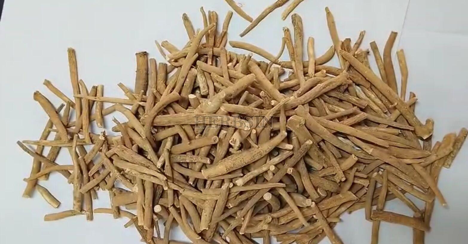 Ashwagandha Roots