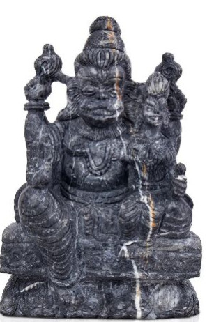 Natural Fossil Texture Narasimha Lakshmi Shaligram Murti