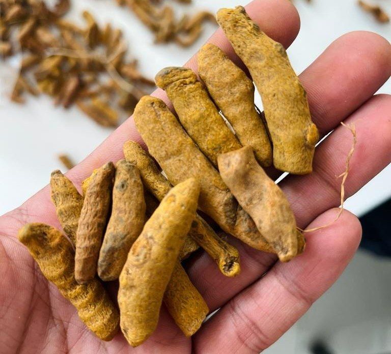 Turmeric Finger