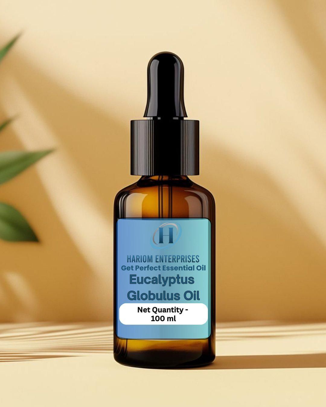 Eucalyptus Globulus Oil