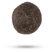 Shaligrama Stone Idol