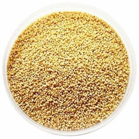 Premium Foxtail Millets, Color : Natural Yellow 100%
