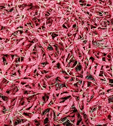 Teja Red Chilli, Shape : Long for Spicy Food Preparation