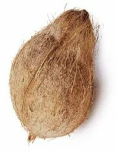 Semi Husked Coconuts, Color : Brown