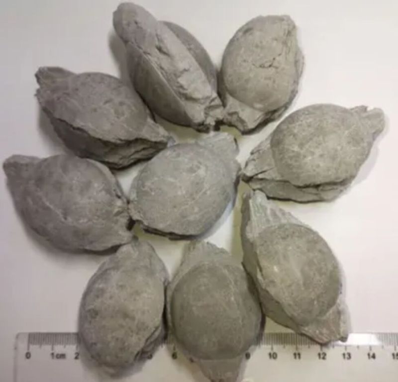 Fluorspar Briquettes