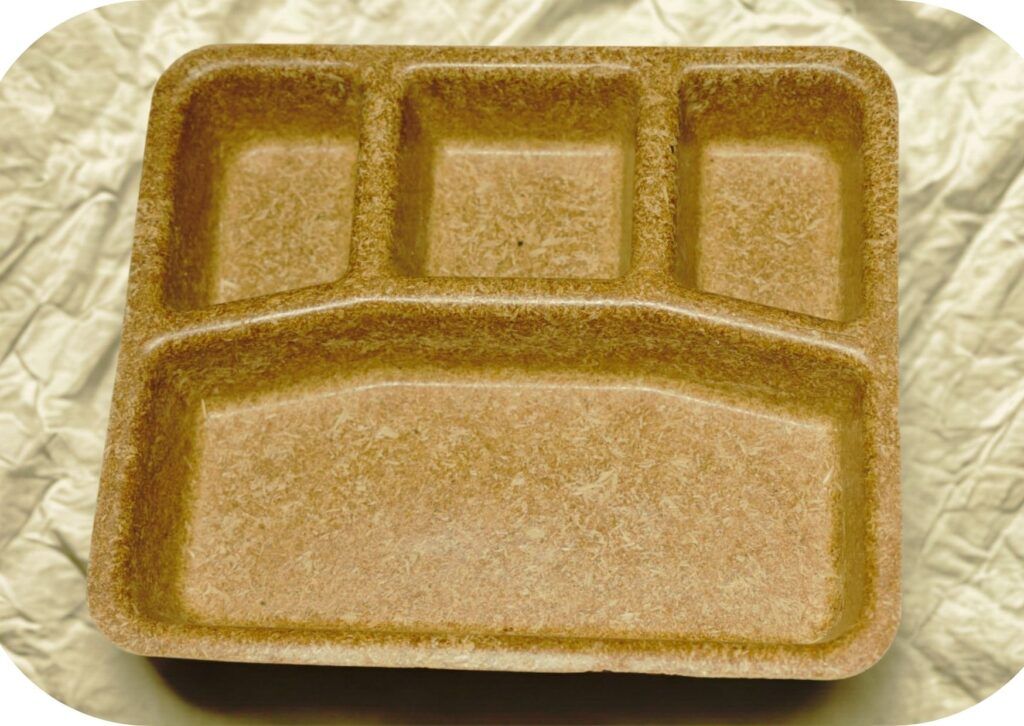 11 Inch 4 Compartment Biodegradable Dinner Plate