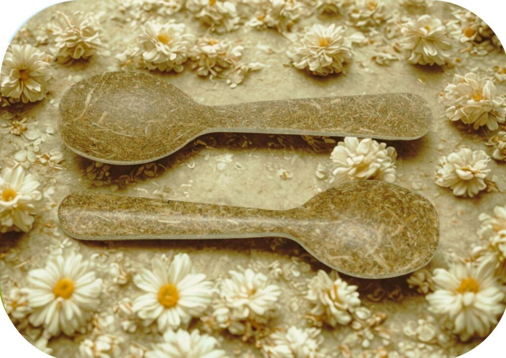 Biodegradable Disposable Spoon