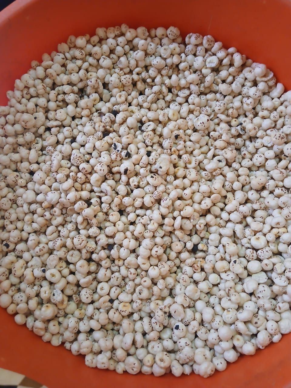 45gm Himalayan Salt Flavoured Makhana