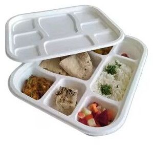 Sugarcane Bagasse 8 Section Compartment Meal Tray
