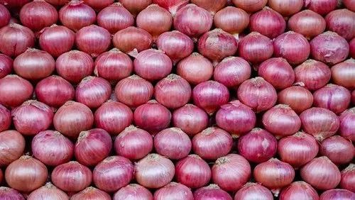 Red Onion, Cultivation Type : Natural for Cooking, Food