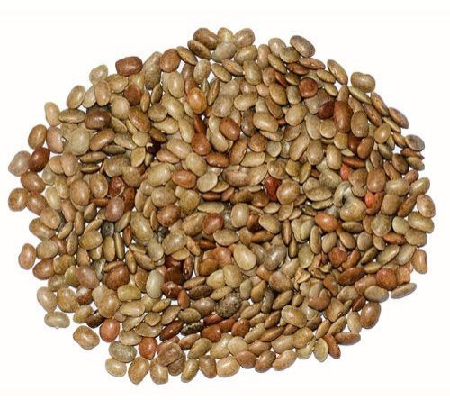 Organic Horse Gram