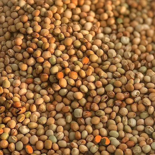 Organic Pigeon Pea