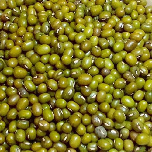Organic Whole Green Moong