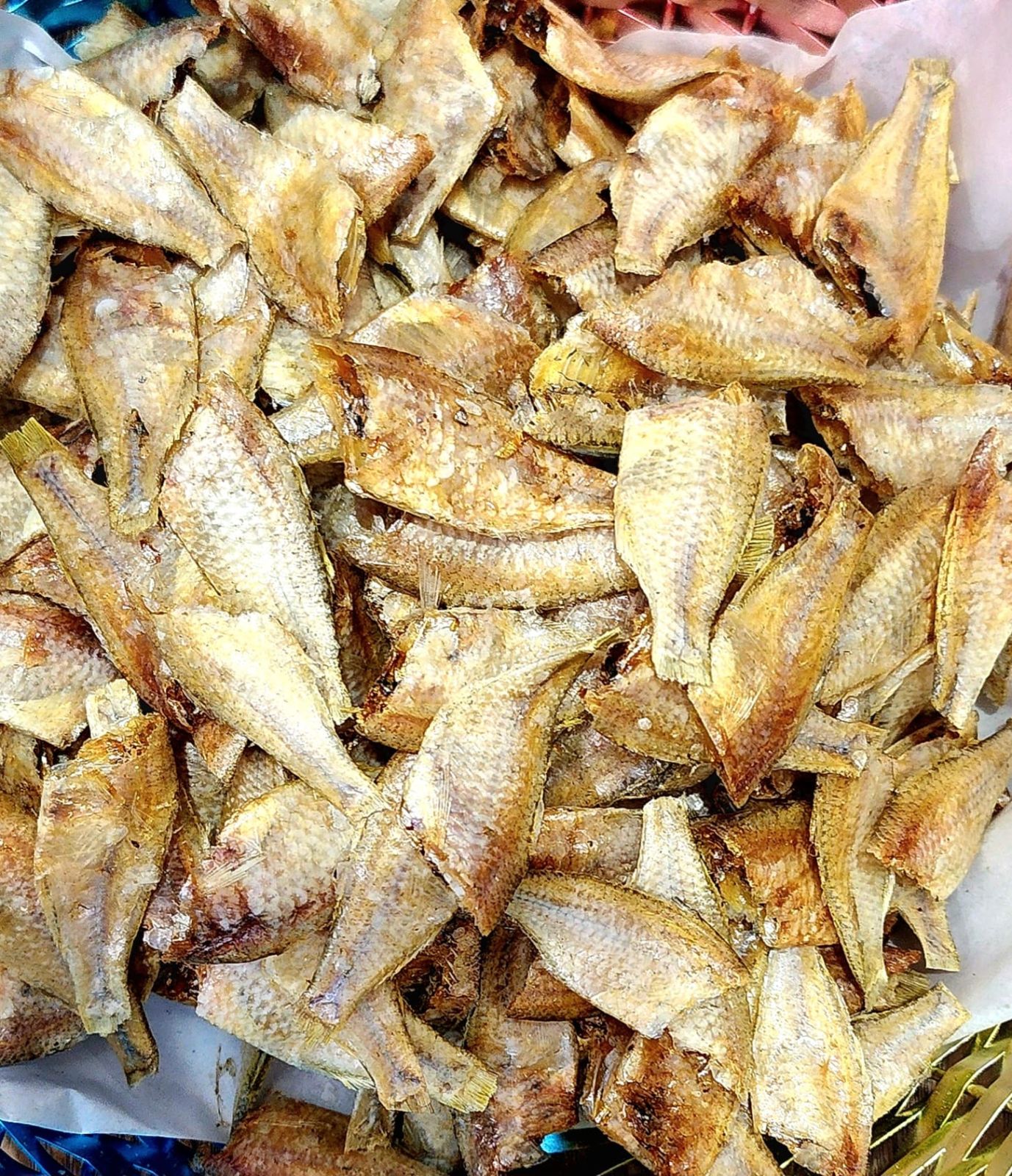 false white sardine dried fish