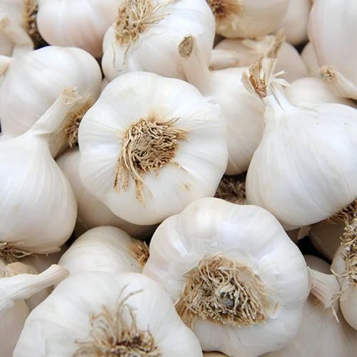 Fresh Garlic