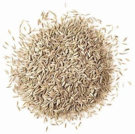 Premium Cumin Seeds