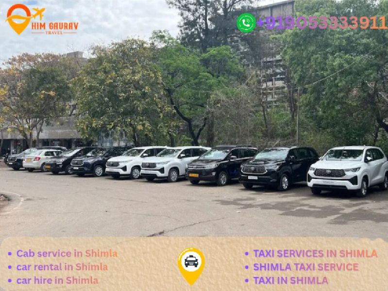 Car Rentals