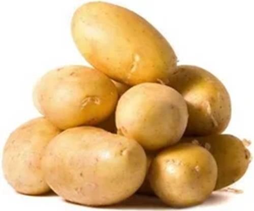 Fresh Potato, Cultivation Type : Natural