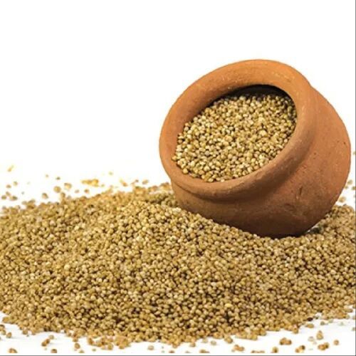 Millet Seeds