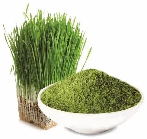 Barley Grass Powder