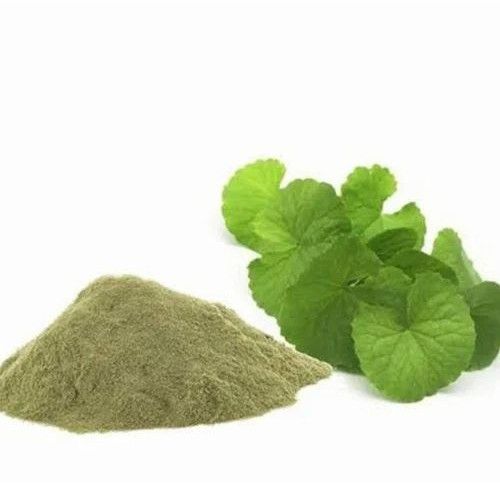 Brahmi Extract Powder