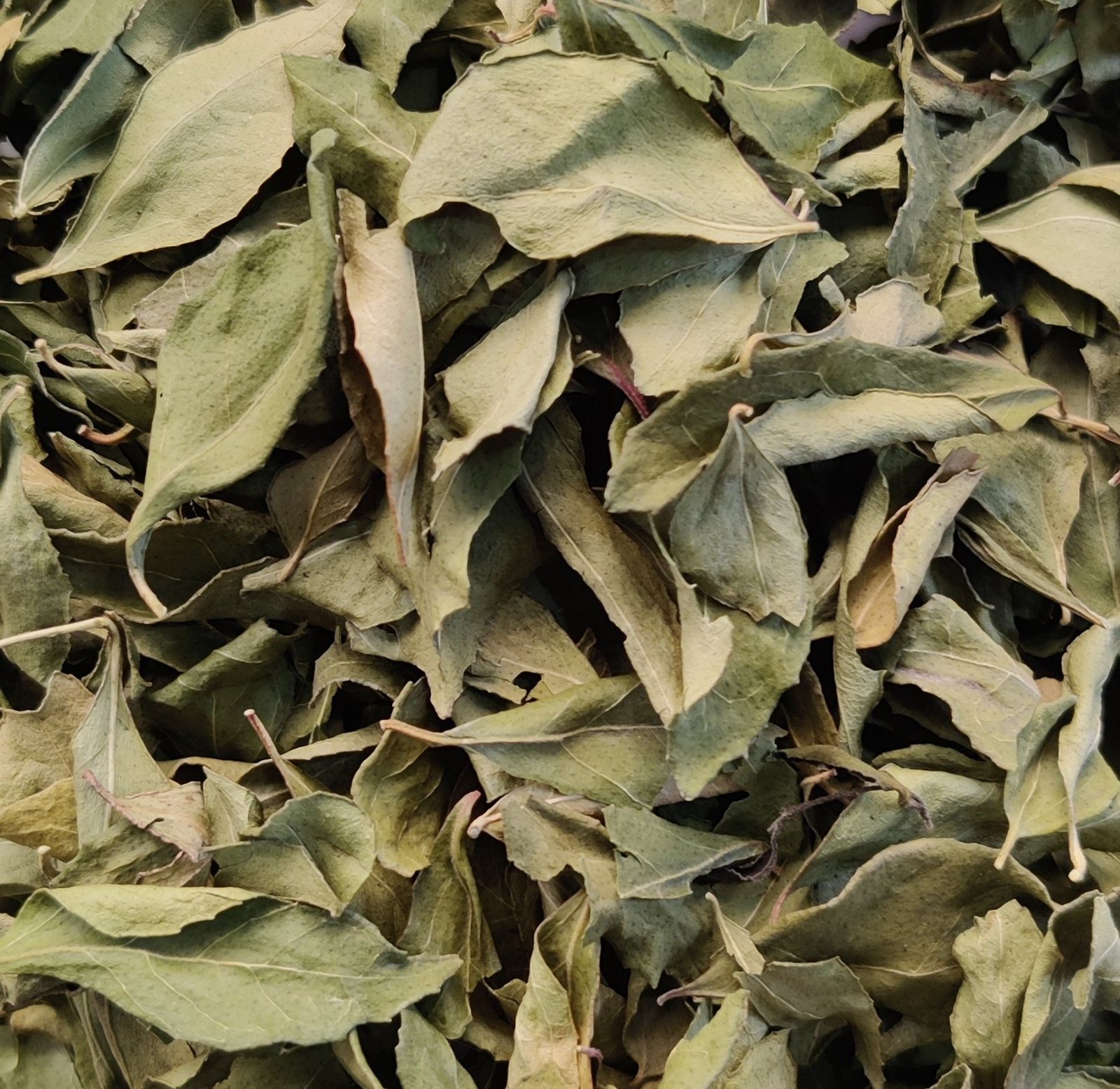 Dried Curry Leaf