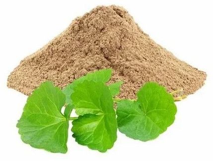 Gotu Kola Extract Powder