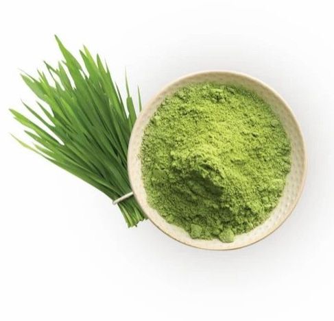 Green Wheat Grass Powder