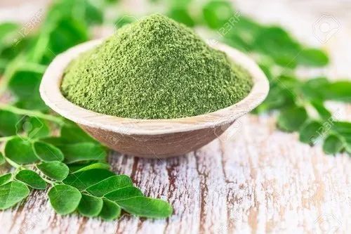 Moringa Leaf Extract Powder