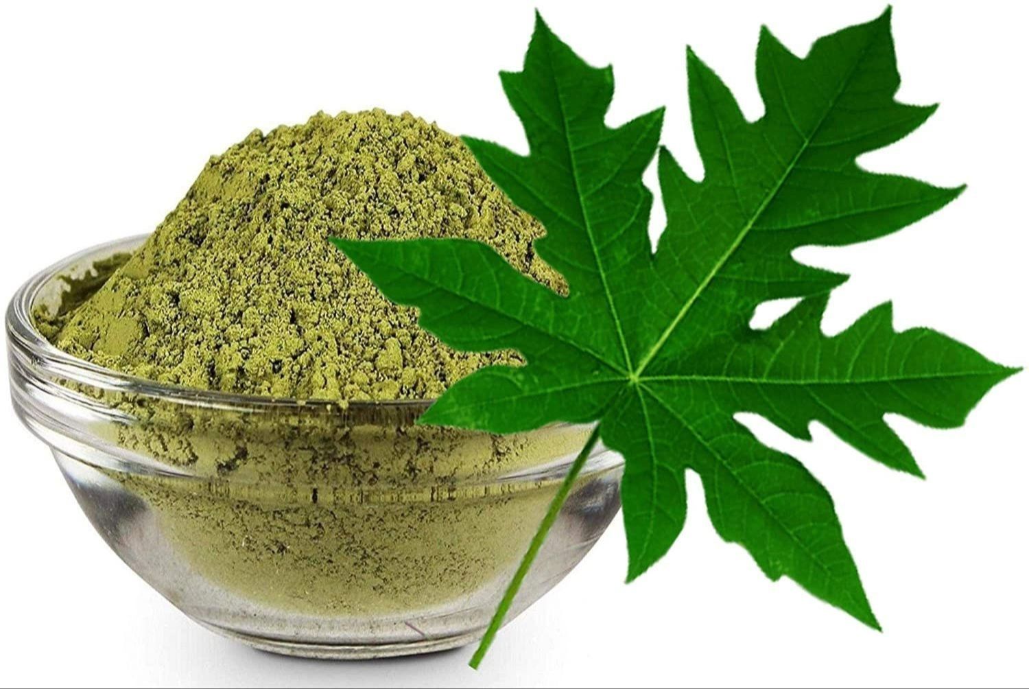 Papaya Leaf Powder