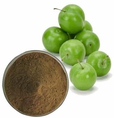 Plum Extract Powder