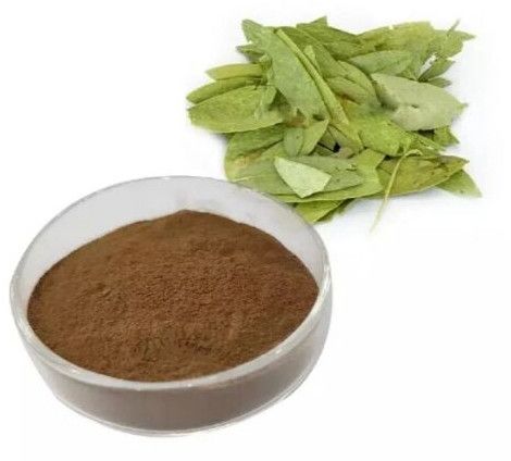 Senna Leaf Extract Powder