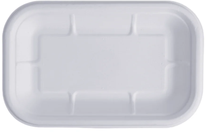 Bagasse Rectangular Snack Plate