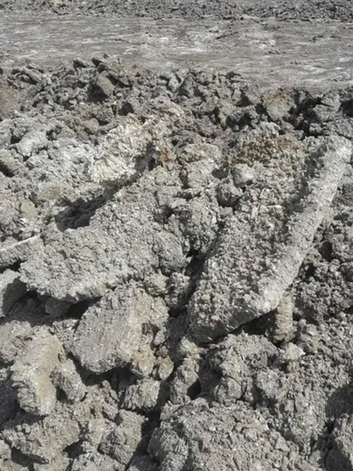 Unwashed Marine Gypsum