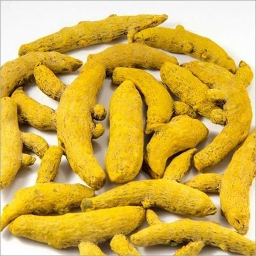Yellow Dried Turmeric Finger, Packaging Type : PP Bags