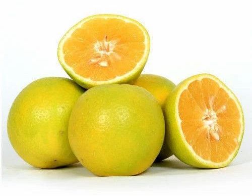 Juicy Sweet Lime, Color : Yellow Green for Juice Culinary