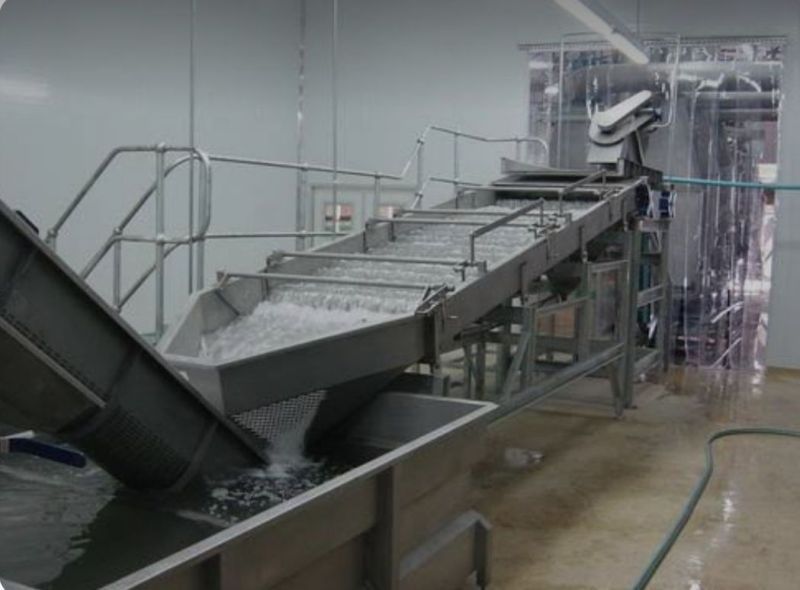 Jack Fruit Chips  Processing Plant