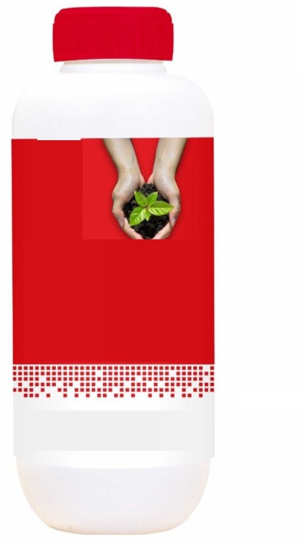 Potash Mobilizing Biofertilizer