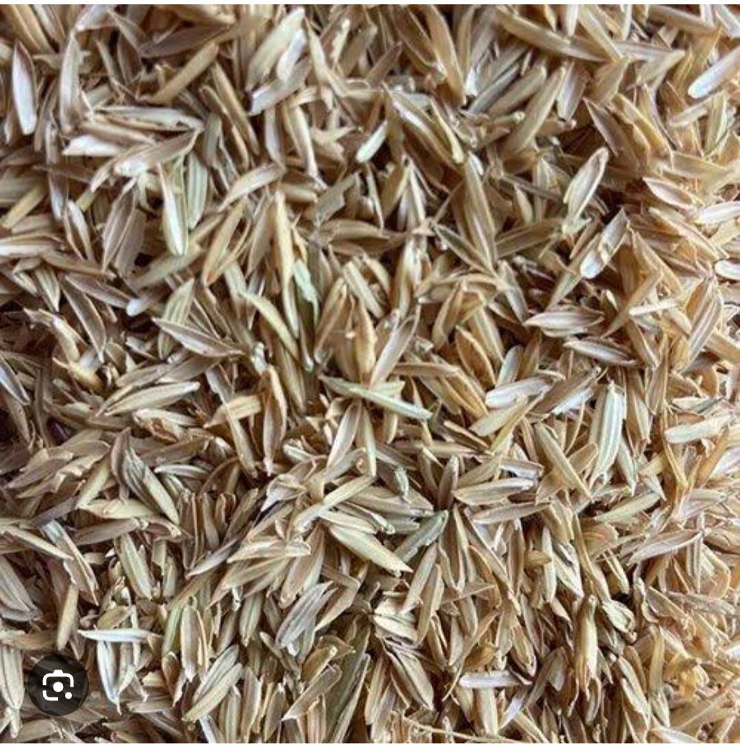 Rice Husk