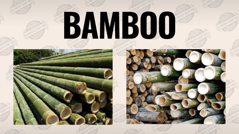 Bamboo