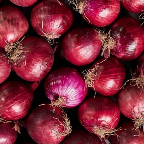 Red Onions, Packaging Size : 25Kg Loose, Net Bag