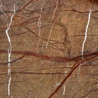 Rainforest Brown Marble