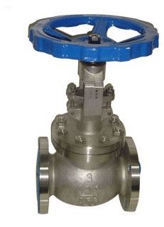 API Globe Valve