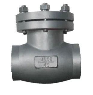 Cryogenic Check Valve